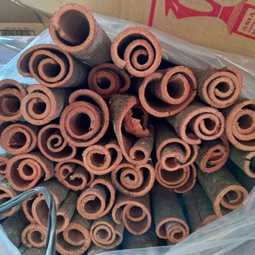 将Tube Cinnamon