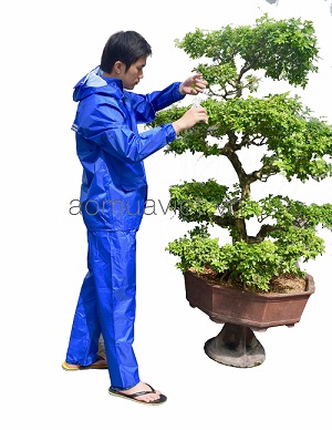 雨衣套装