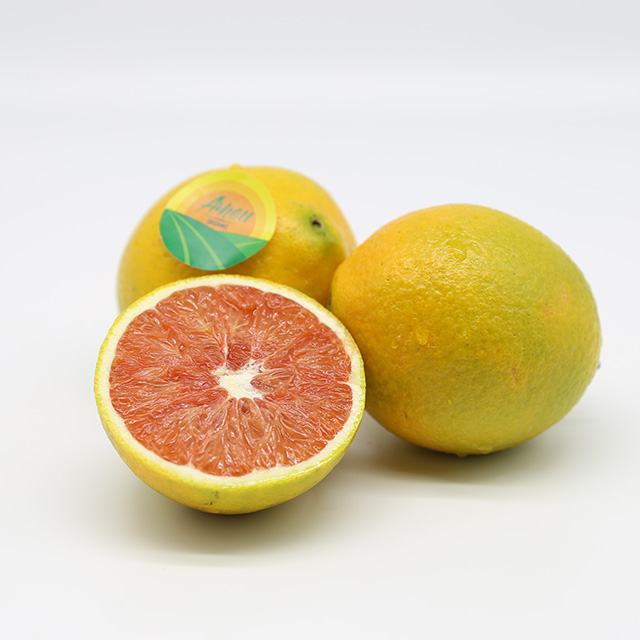 Fresh Cara橙子