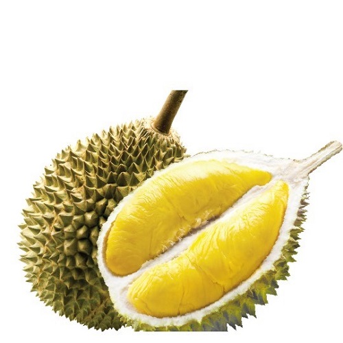 Tueh 新鲜榴莲