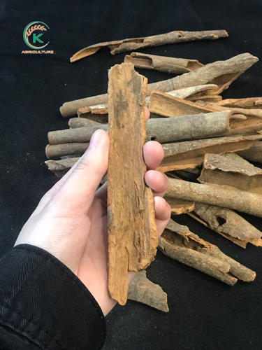 破碎的肉桂