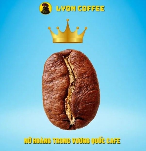 Cau Dat Moka 咖啡豆