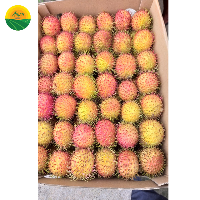 新鲜红毛丹