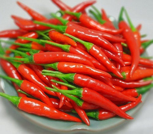 新鲜辣椒