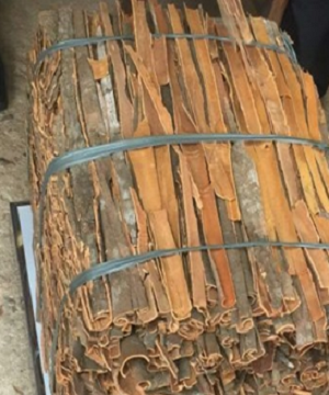 破碎的肉桂