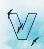 VIC国际集装箱运输有限公司