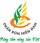 南方化肥公司