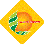 南方V.N有限公司