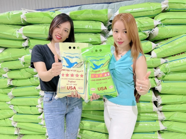 IR504 Rice